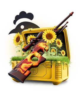 SUNSHINE Key-Drop csgo_skins case art