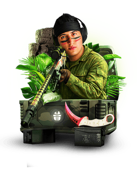 CACHORRO Key-Drop csgo_skins case art